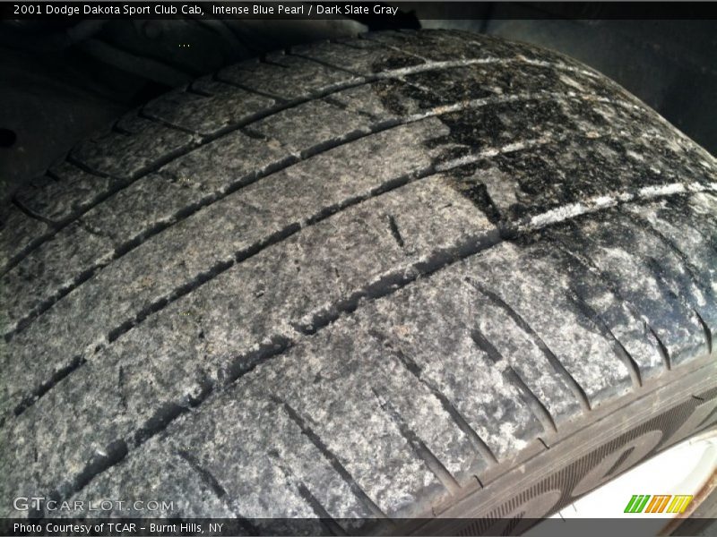 Intense Blue Pearl / Dark Slate Gray 2001 Dodge Dakota Sport Club Cab