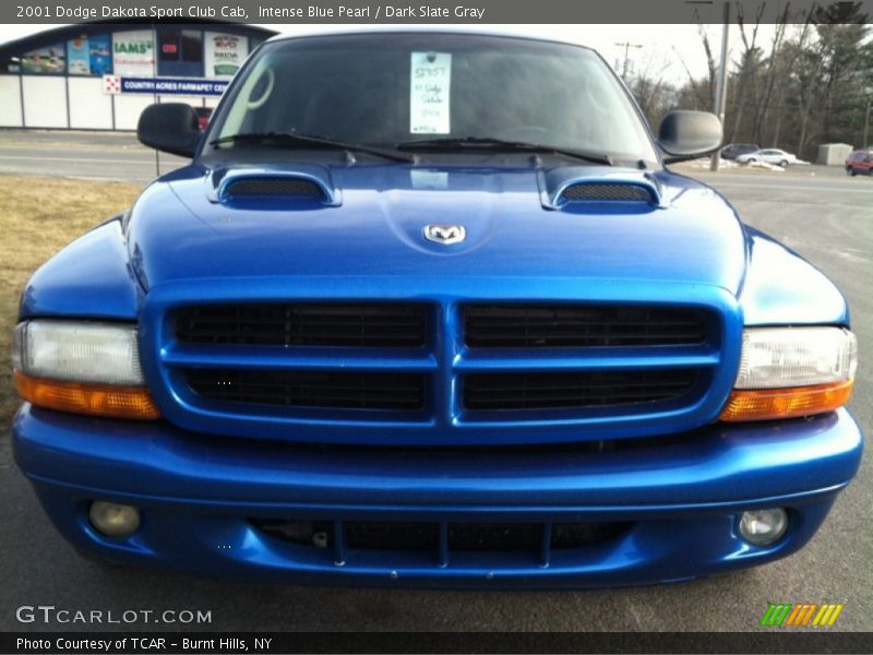 Intense Blue Pearl / Dark Slate Gray 2001 Dodge Dakota Sport Club Cab