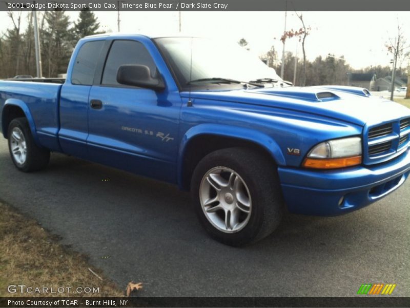 Intense Blue Pearl / Dark Slate Gray 2001 Dodge Dakota Sport Club Cab