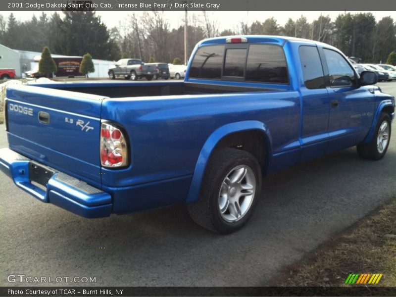Intense Blue Pearl / Dark Slate Gray 2001 Dodge Dakota Sport Club Cab