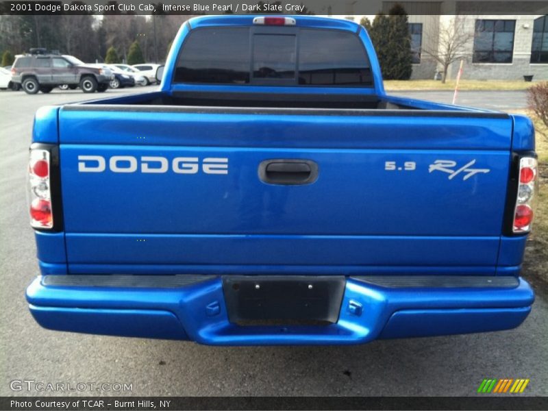 Intense Blue Pearl / Dark Slate Gray 2001 Dodge Dakota Sport Club Cab