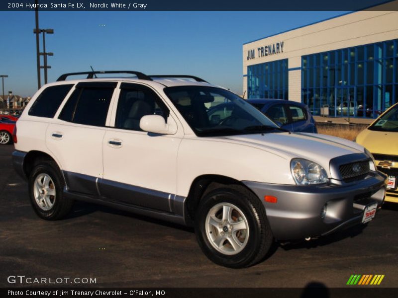 Nordic White / Gray 2004 Hyundai Santa Fe LX