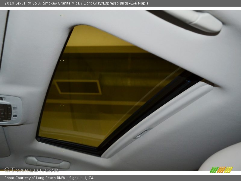 Smokey Granite Mica / Light Gray/Espresso Birds-Eye Maple 2010 Lexus RX 350