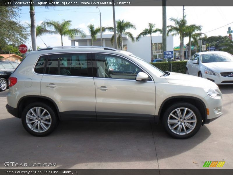White Gold Metallic / Charcoal 2010 Volkswagen Tiguan Wolfsburg Edition