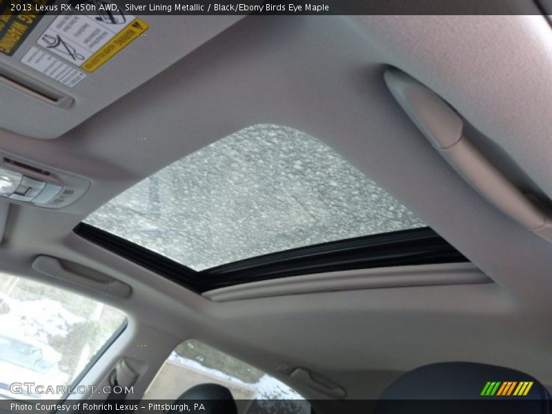 Silver Lining Metallic / Black/Ebony Birds Eye Maple 2013 Lexus RX 450h AWD