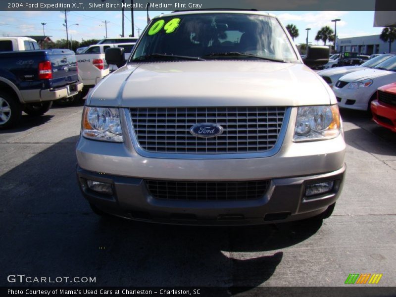 Silver Birch Metallic / Medium Flint Gray 2004 Ford Expedition XLT