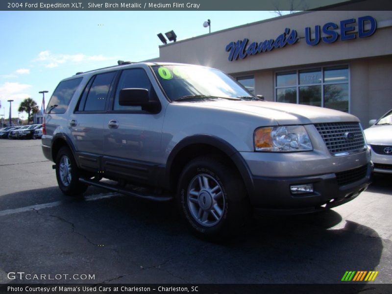 Silver Birch Metallic / Medium Flint Gray 2004 Ford Expedition XLT