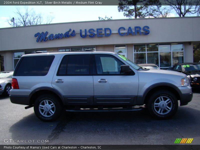Silver Birch Metallic / Medium Flint Gray 2004 Ford Expedition XLT
