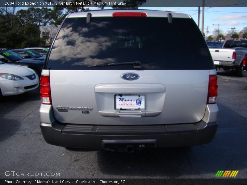 Silver Birch Metallic / Medium Flint Gray 2004 Ford Expedition XLT