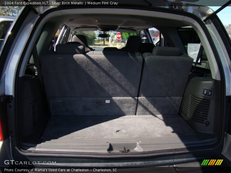 Silver Birch Metallic / Medium Flint Gray 2004 Ford Expedition XLT
