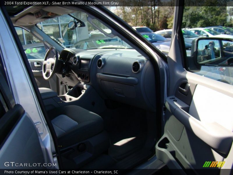 Silver Birch Metallic / Medium Flint Gray 2004 Ford Expedition XLT