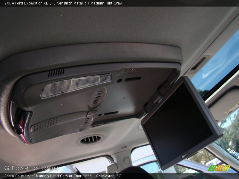 Silver Birch Metallic / Medium Flint Gray 2004 Ford Expedition XLT