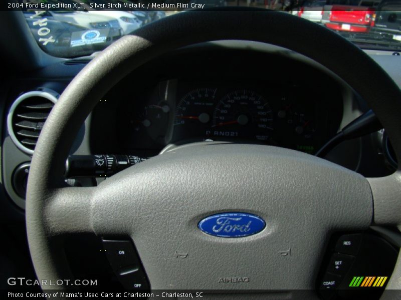 Silver Birch Metallic / Medium Flint Gray 2004 Ford Expedition XLT