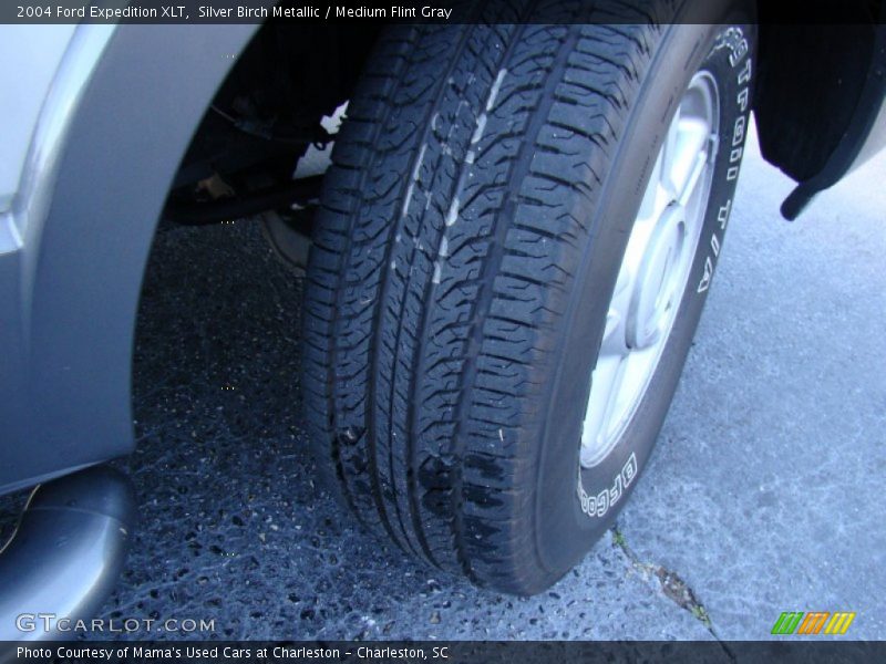 Silver Birch Metallic / Medium Flint Gray 2004 Ford Expedition XLT