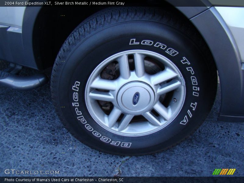 Silver Birch Metallic / Medium Flint Gray 2004 Ford Expedition XLT