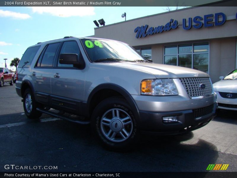 Silver Birch Metallic / Medium Flint Gray 2004 Ford Expedition XLT
