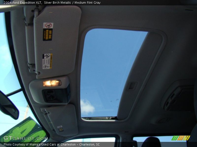 Silver Birch Metallic / Medium Flint Gray 2004 Ford Expedition XLT