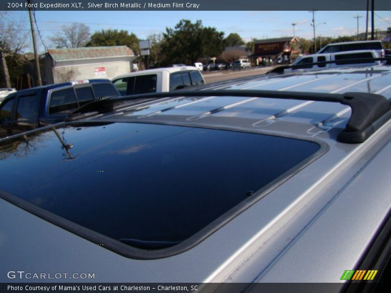 Silver Birch Metallic / Medium Flint Gray 2004 Ford Expedition XLT