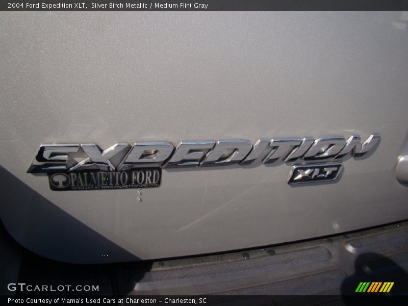 Silver Birch Metallic / Medium Flint Gray 2004 Ford Expedition XLT