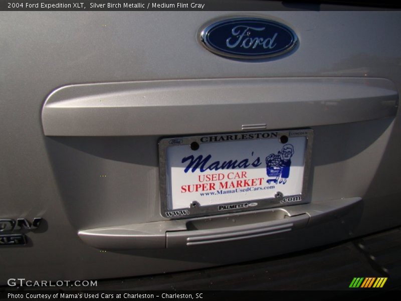 Silver Birch Metallic / Medium Flint Gray 2004 Ford Expedition XLT