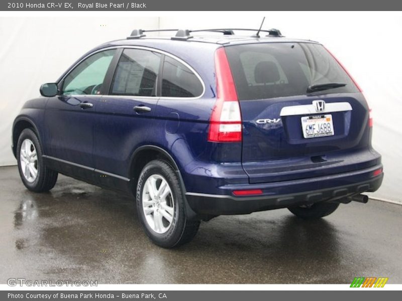 Royal Blue Pearl / Black 2010 Honda CR-V EX