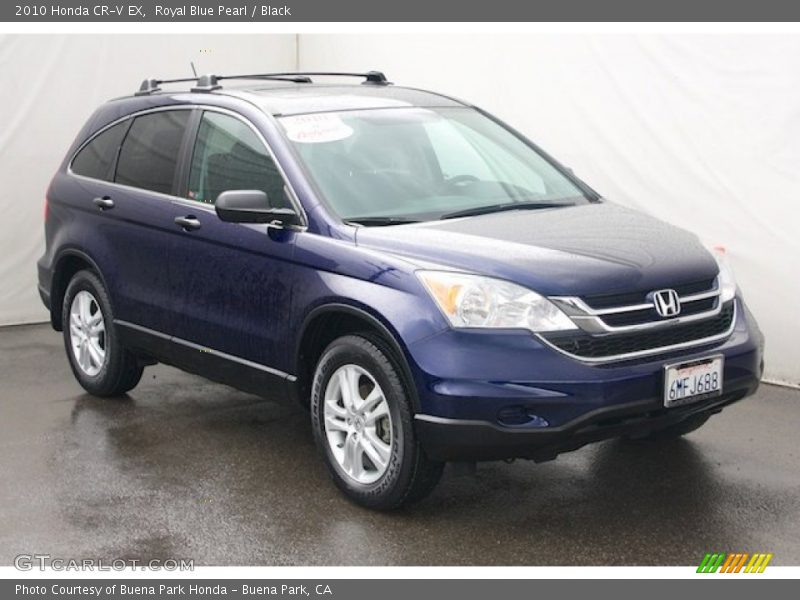 Royal Blue Pearl / Black 2010 Honda CR-V EX