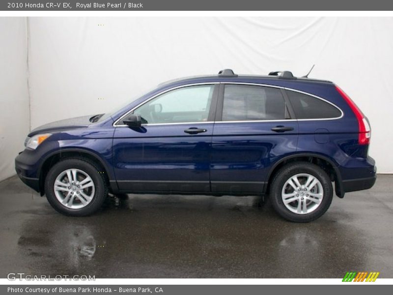 Royal Blue Pearl / Black 2010 Honda CR-V EX