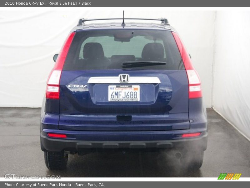 Royal Blue Pearl / Black 2010 Honda CR-V EX