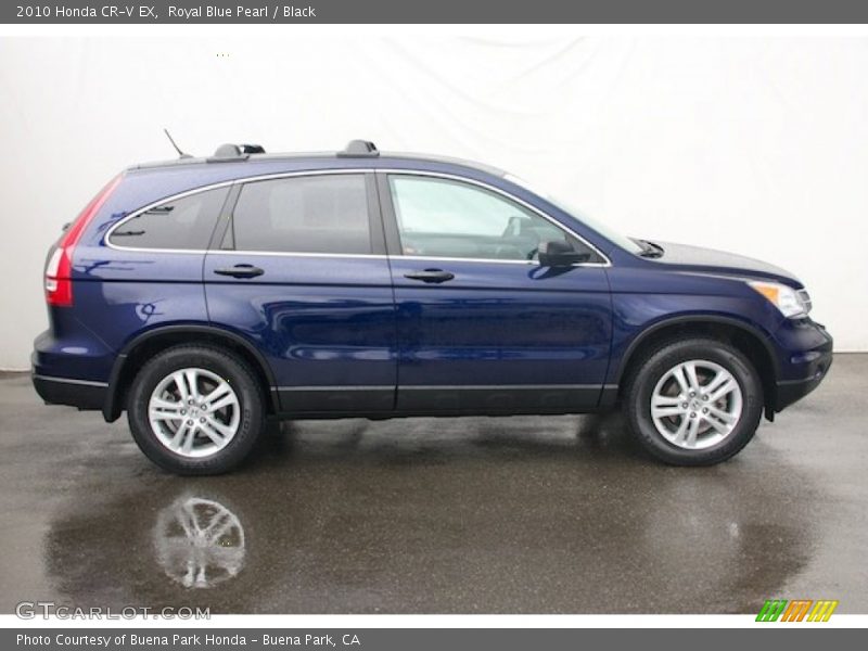 Royal Blue Pearl / Black 2010 Honda CR-V EX