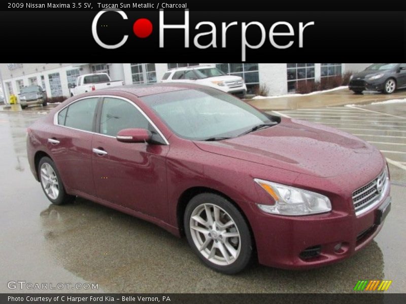 Tuscan Sun Metallic / Charcoal 2009 Nissan Maxima 3.5 SV