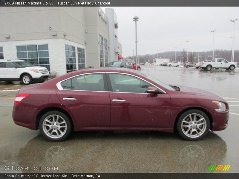 Tuscan Sun Metallic / Charcoal 2009 Nissan Maxima 3.5 SV