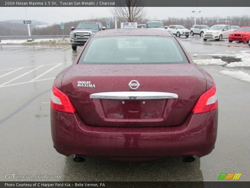 Tuscan Sun Metallic / Charcoal 2009 Nissan Maxima 3.5 SV