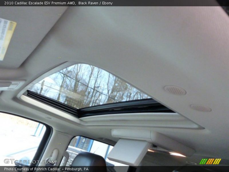 Black Raven / Ebony 2010 Cadillac Escalade ESV Premium AWD