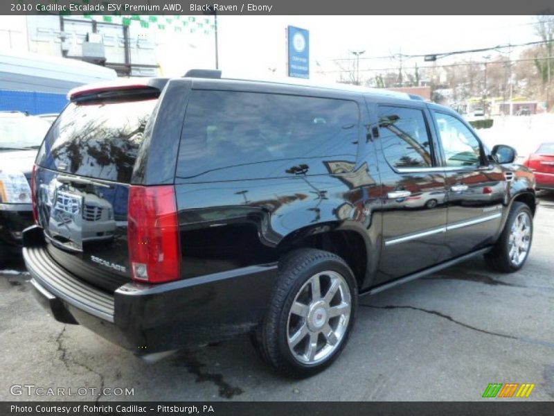 Black Raven / Ebony 2010 Cadillac Escalade ESV Premium AWD