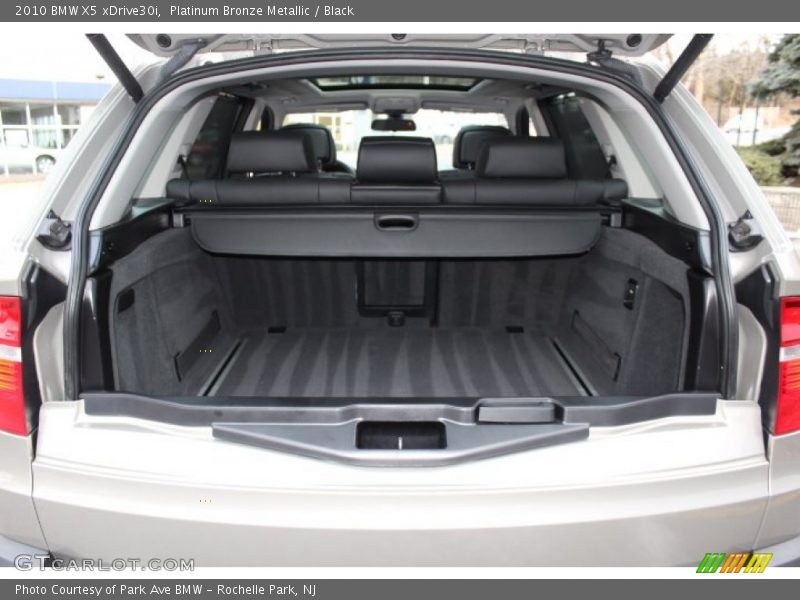 Platinum Bronze Metallic / Black 2010 BMW X5 xDrive30i