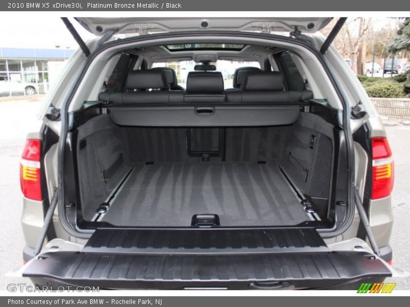 Platinum Bronze Metallic / Black 2010 BMW X5 xDrive30i