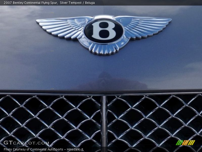 Silver Tempest / Beluga 2007 Bentley Continental Flying Spur