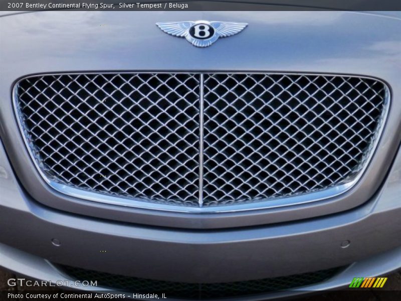 Silver Tempest / Beluga 2007 Bentley Continental Flying Spur