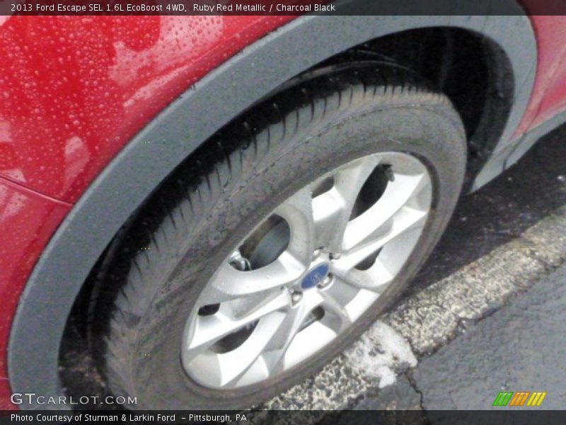 Ruby Red Metallic / Charcoal Black 2013 Ford Escape SEL 1.6L EcoBoost 4WD