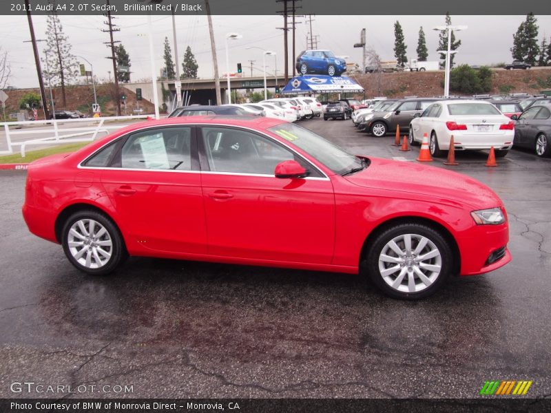  2011 A4 2.0T Sedan Brilliant Red