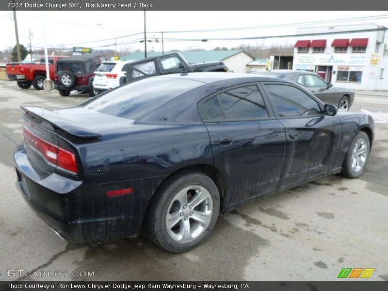 Blackberry Pearl / Black 2012 Dodge Charger SXT