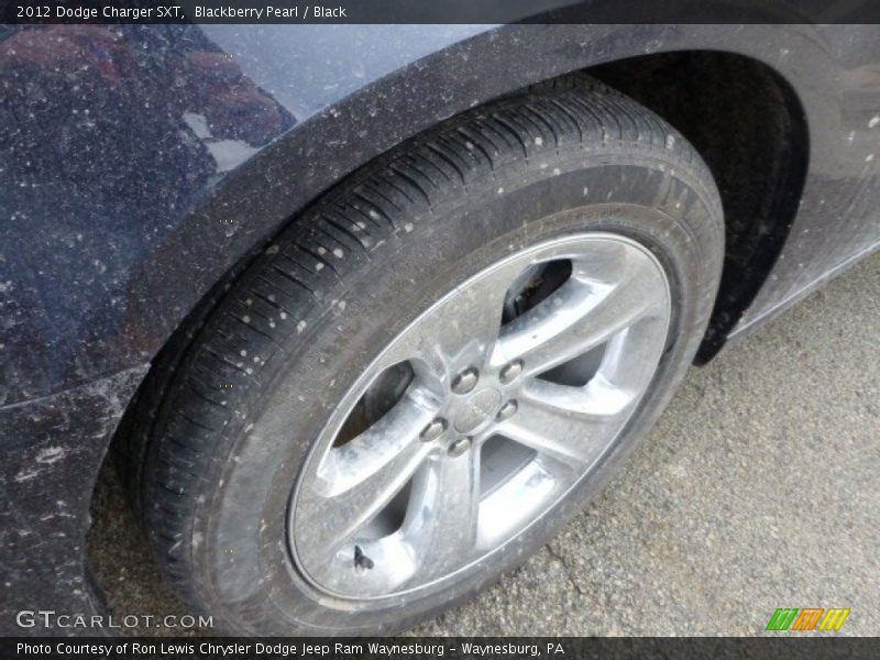 Blackberry Pearl / Black 2012 Dodge Charger SXT