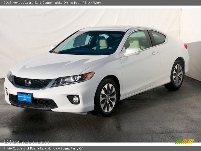 White Orchid Pearl / Black/Ivory 2013 Honda Accord EX-L Coupe