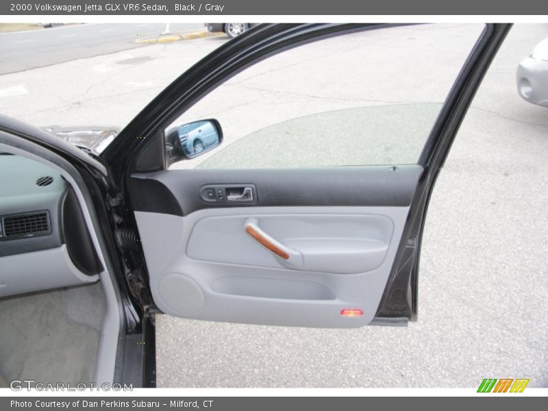 Door Panel of 2000 Jetta GLX VR6 Sedan