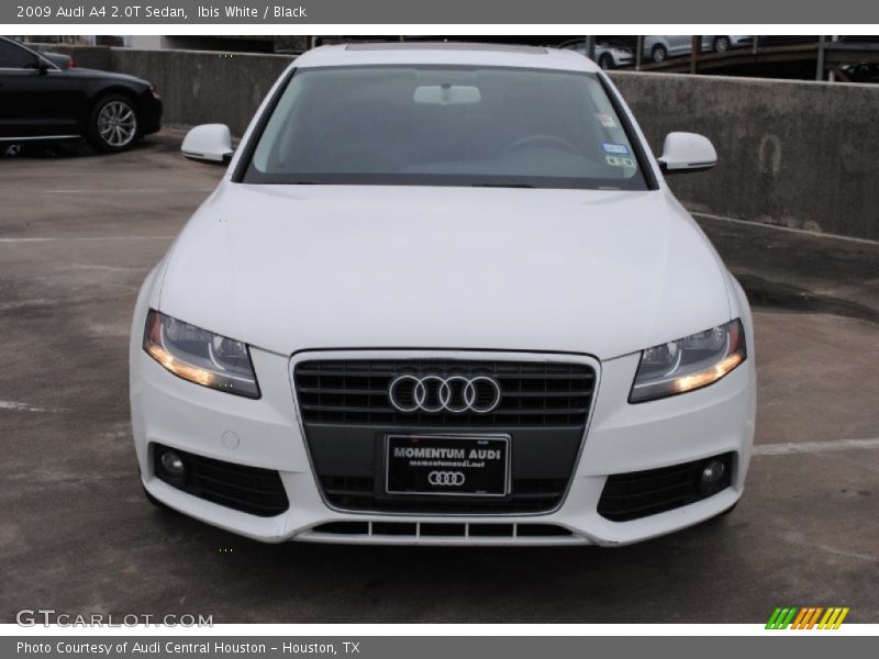 Ibis White / Black 2009 Audi A4 2.0T Sedan