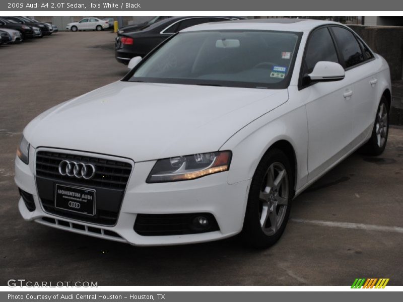 Ibis White / Black 2009 Audi A4 2.0T Sedan
