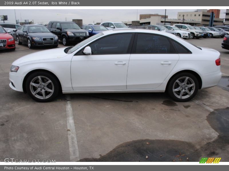 Ibis White / Black 2009 Audi A4 2.0T Sedan