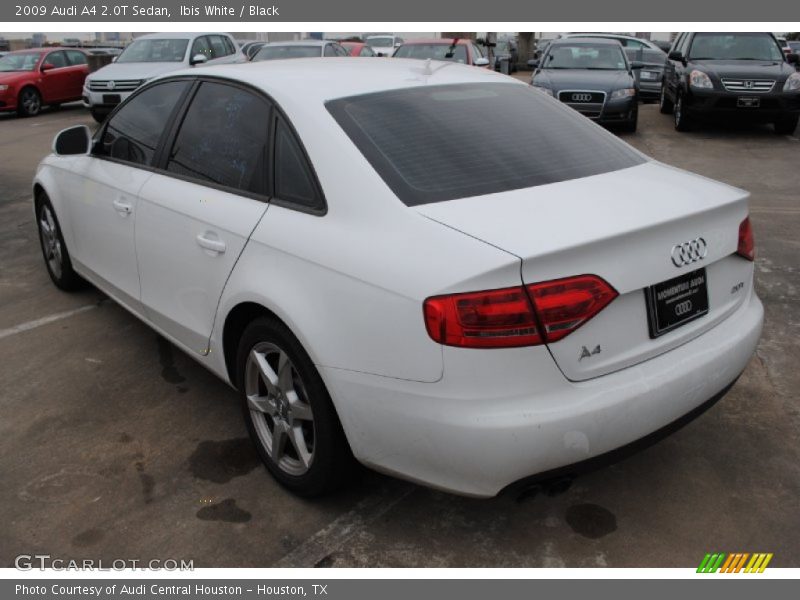 Ibis White / Black 2009 Audi A4 2.0T Sedan