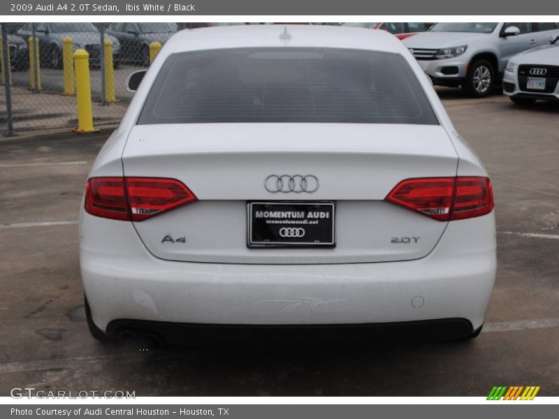 Ibis White / Black 2009 Audi A4 2.0T Sedan