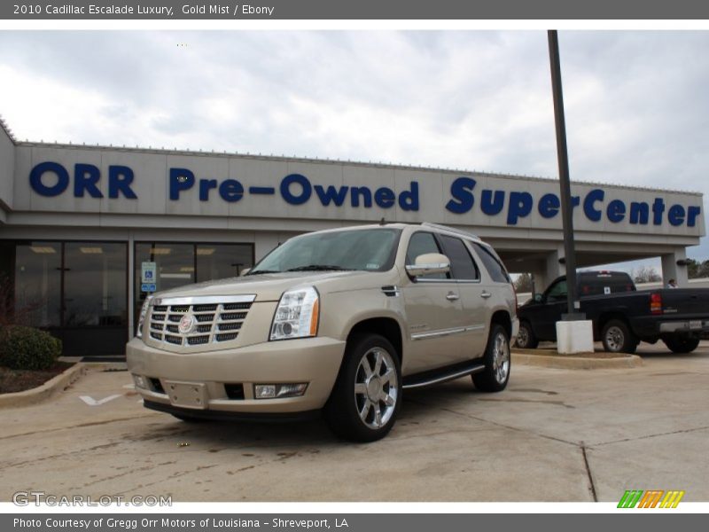 Gold Mist / Ebony 2010 Cadillac Escalade Luxury